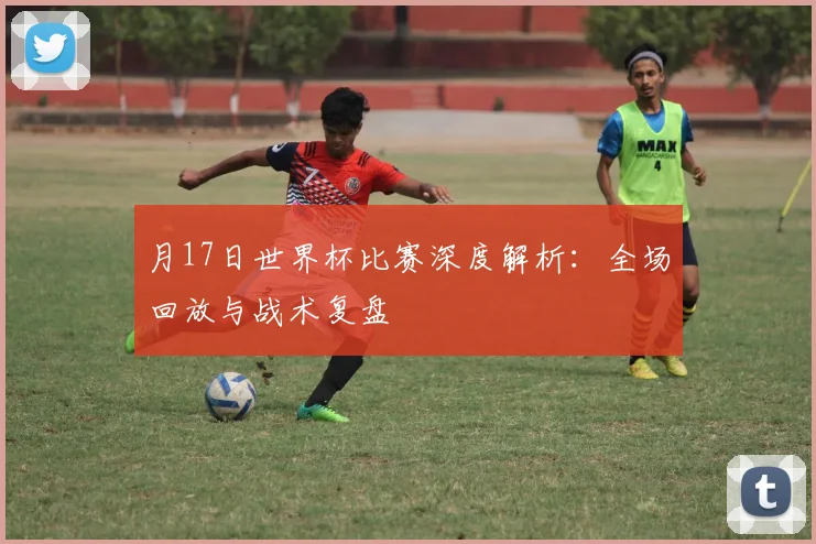 月17日世界杯比赛深度解析：全场回放与战术复盘