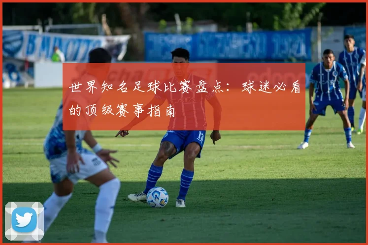 世界知名足球比赛盘点:球迷必看的顶级赛事指南